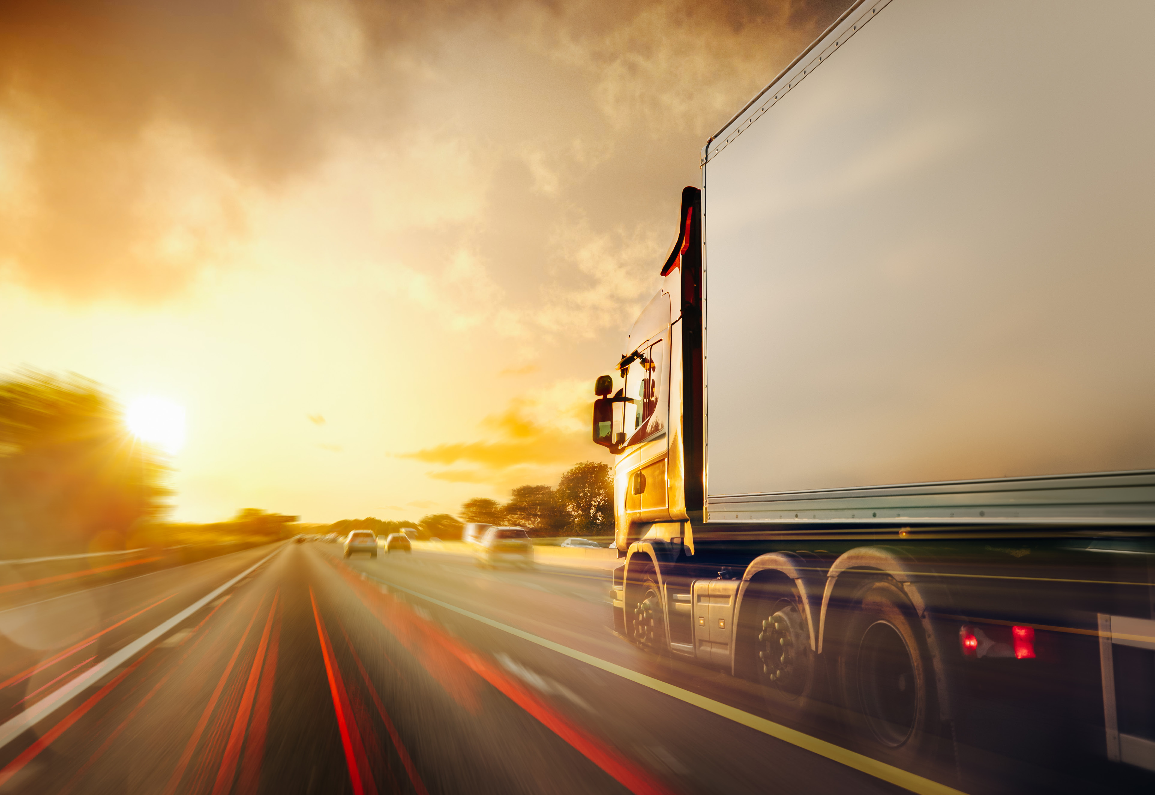 Trade and non-trade credit