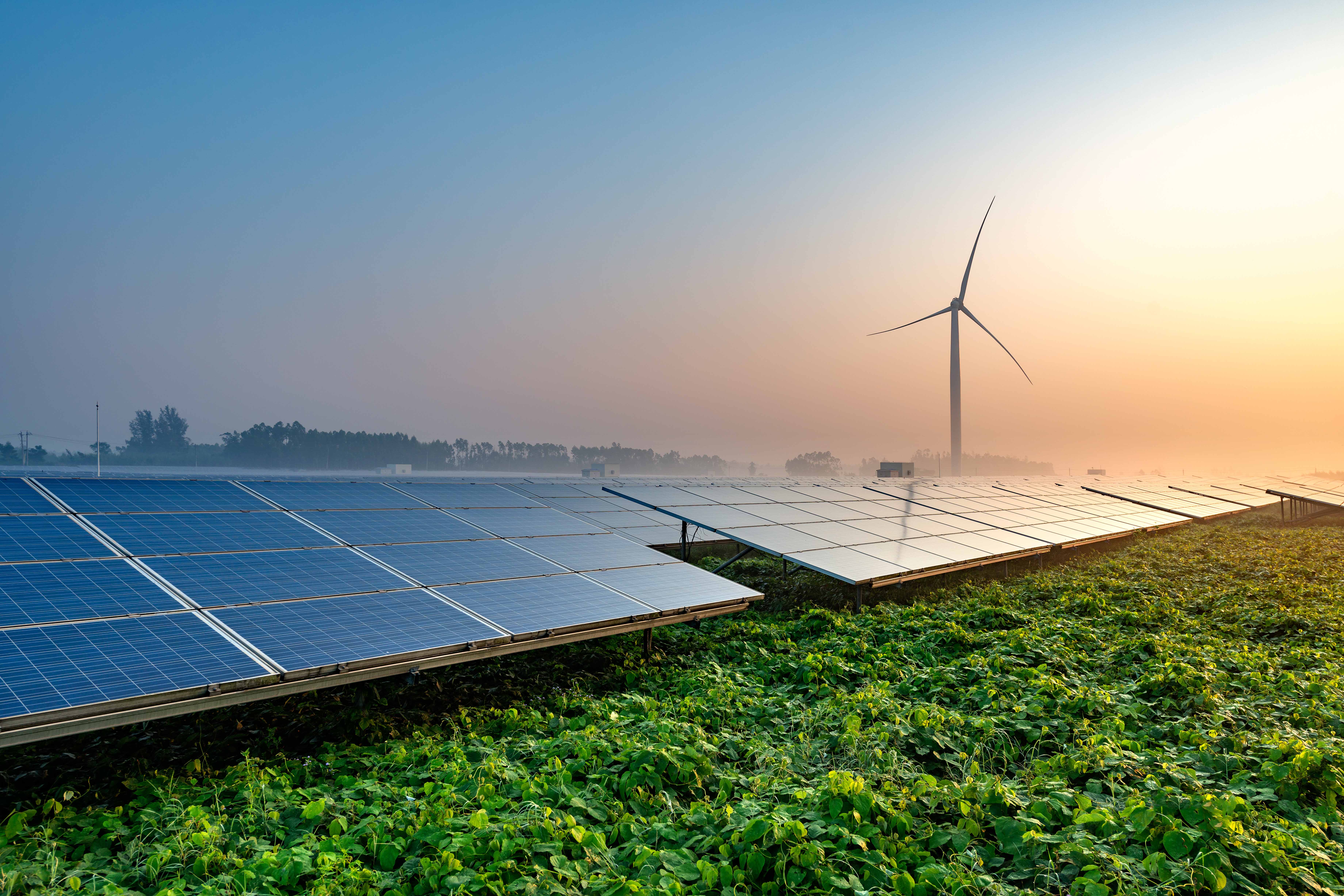 Solar panels